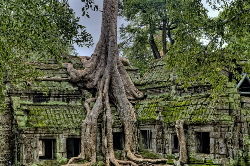 Le temple d'Angkor Wat, ancienne capitale de l'empire khmer – circuit Vietnam et Angkor