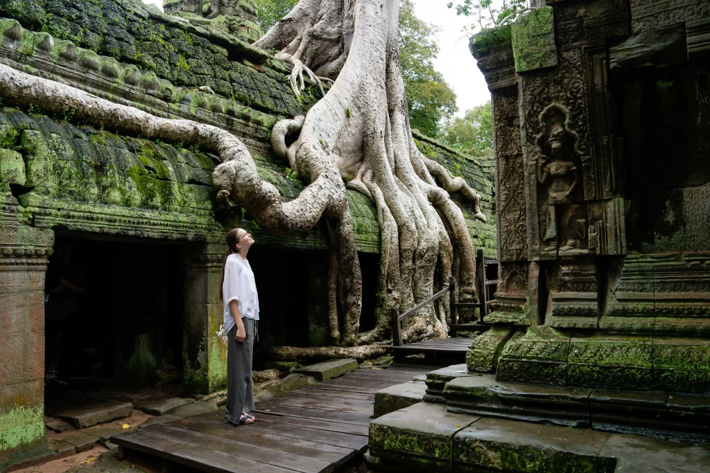 Le temple de Ta Prohm Cambodge