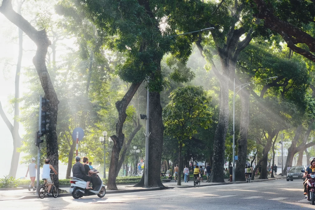 Avenue arborée de Hanoi au printemps, voyage privé au Vietnam