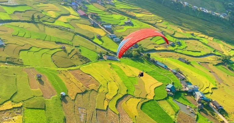 Vue aérienne d'un parapente rouge volant au-dessus des rizières en terrasses dorées et verdoyantes à Mù Cang Chải.