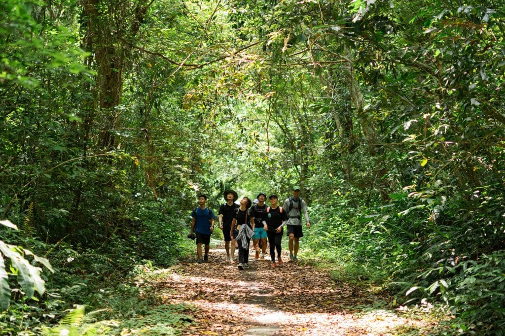 Groupe de randonneurs en trek dans la forêt tropicale du parc national de Cat Bà, à proximité du village de Viet Hai.